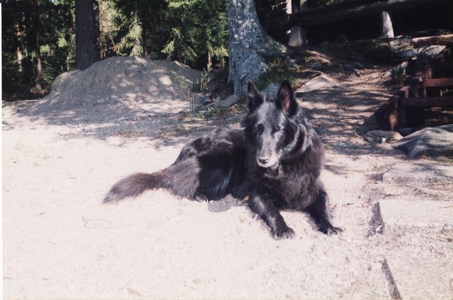 Wilma mökillä