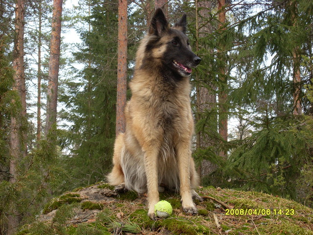 kivellä