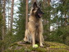 kivellä