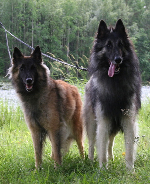 astutusreissu 15.7.07