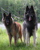 astutusreissu 15.7.07