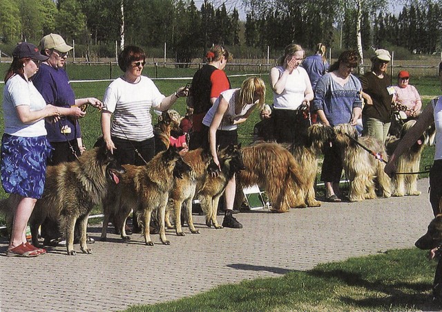 Bestseller kennel BIS3-kasv