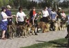 Bestseller kennel BIS3-kasv