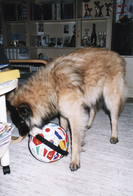 äiskä osti miulle tään pallon...