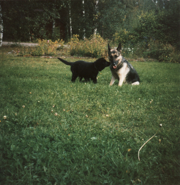 Wilma ja Danja