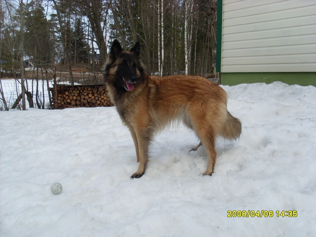 sivukuva