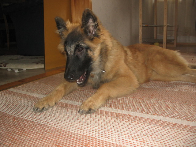Aatu