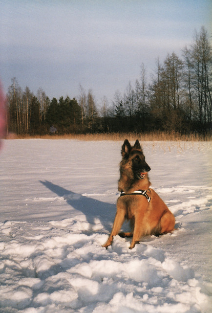 Fuga jäällä