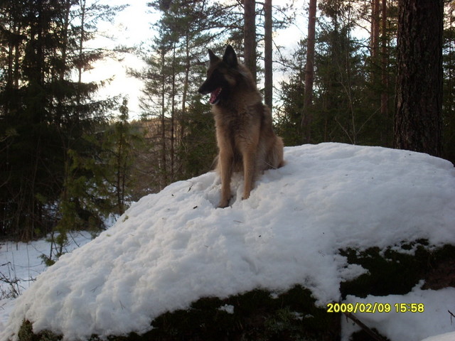 ...välillä poseerataan kivellä
