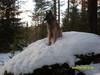 ...välillä poseerataan kivellä