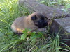 matti 2vko5pv