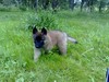 Matti 7vkoa