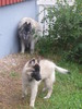 Mepa ja isoisoäiti-Salli 