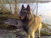 Gini kevät 2010