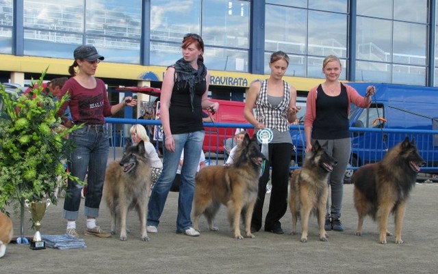 BIS4-kasvattaja Kennel Bestseller