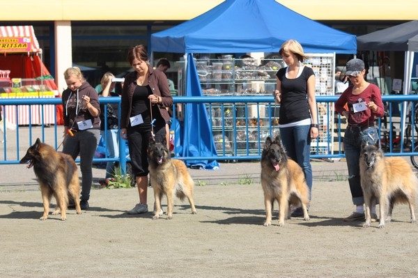 kasvattajaluokka 1 kp ROP-kasv
