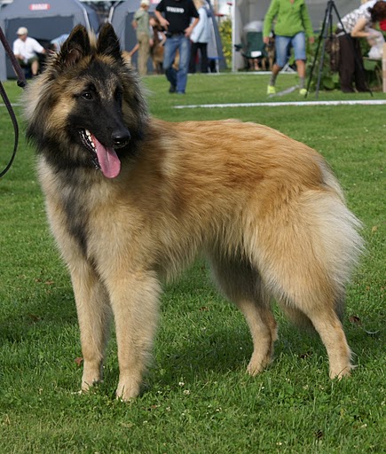 Aatu erkkarissa 08