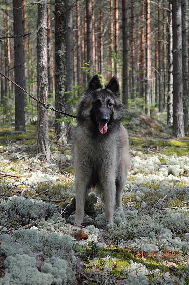 Meemi pieni heinäkuussa 2012