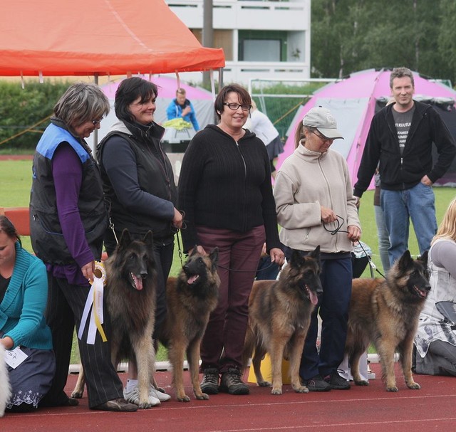 Kennel Bestseller BIS 3 kasvattaja