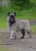 Hilma