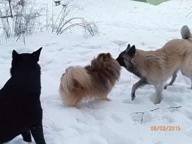 Eppu ja Helmi pussaa