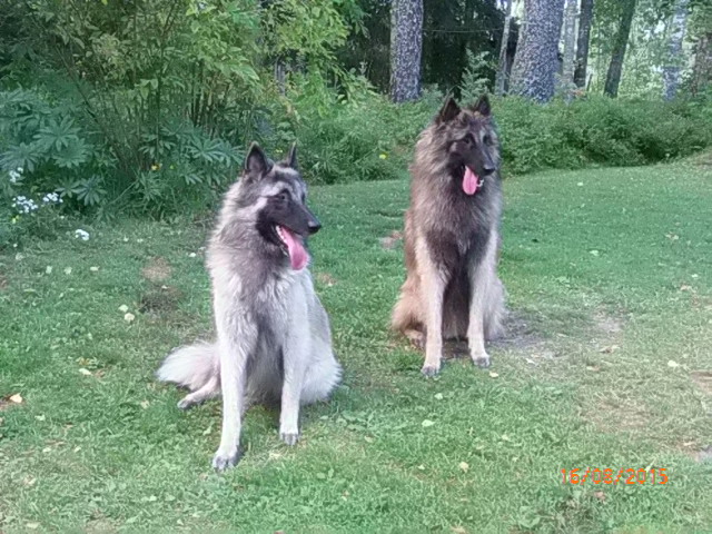 Helmi ja Moci
