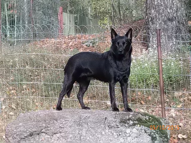 sivuposetusta