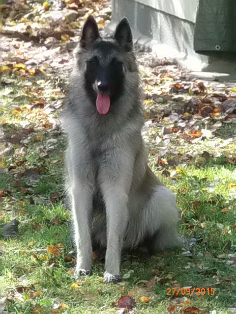 posetusta