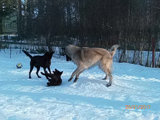 Jee :)