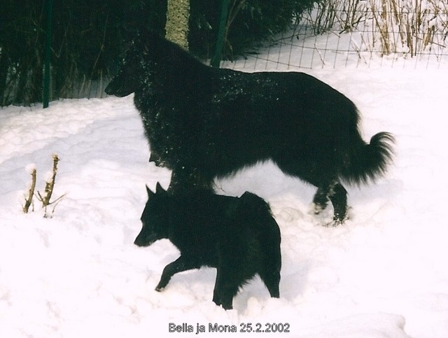 Bella ja Mona 25.2.2002  1v2kk