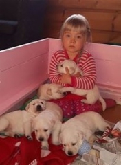 emma_20.1.2016_puppies_22_days