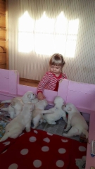 emma_20.1.2016_with_pups