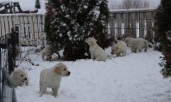 img_6739_14.2.2016