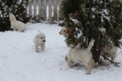img_6743_14.2.2016