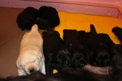 img_6820_2_weeks