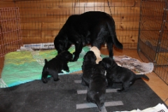 img_6931_3_weeks_2_days