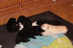 img_6901__3_weeks_1_day