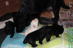 img_6923__3_weeks_1_day