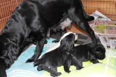 img_6924_3_weeks_1_day