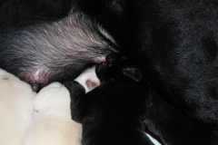 img_4402
