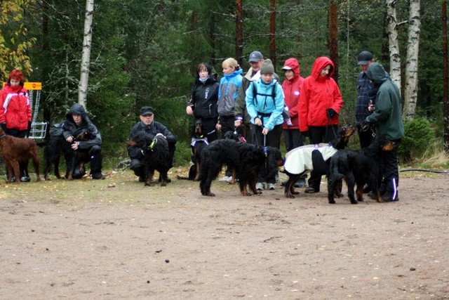 pentutreffit 2008