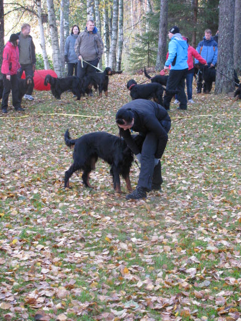 pentutreffit_2012_093