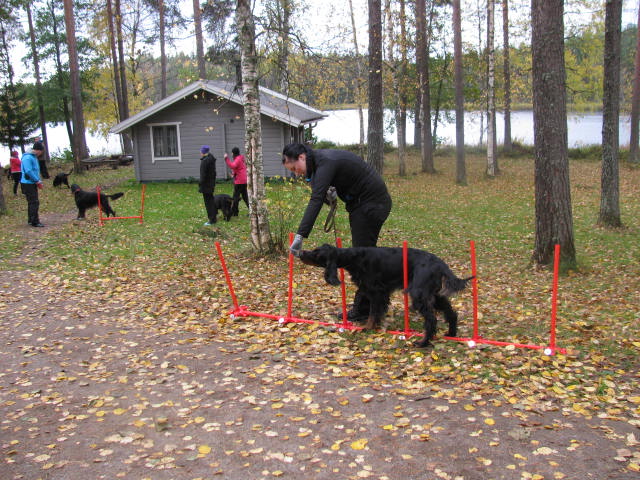 pentutreffit_2012_123