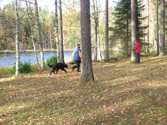 pentutreffit_2012_151