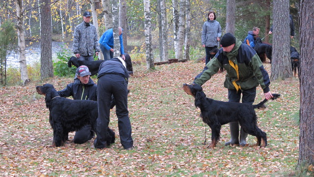 pentutreffit_2012_064