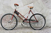 tunturi trekking bike model 1939 (0)