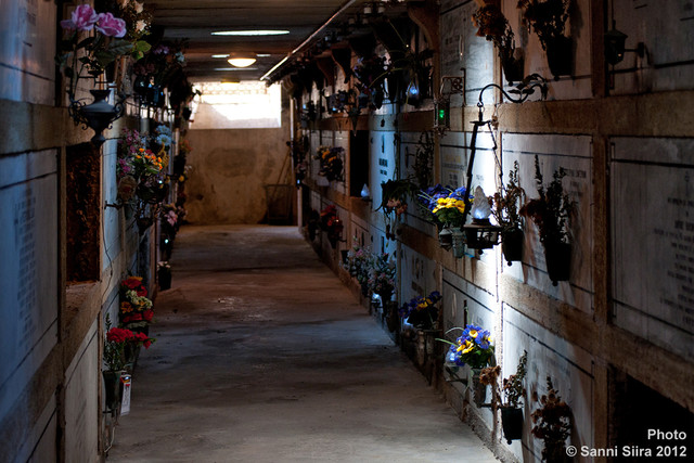 6._sanni_siira_cimitario_citt