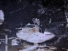 obviously_an_ufo_snapped_in_heraklion_in_early_60._photo_foto_917923923919_iraklion_crete._a_find_from_antique_shop_paleopolio_rethymnon.