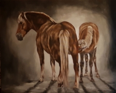 Finnhorse mare and foal
