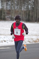 sotungintestijuoksu2005_12_10_0033_01